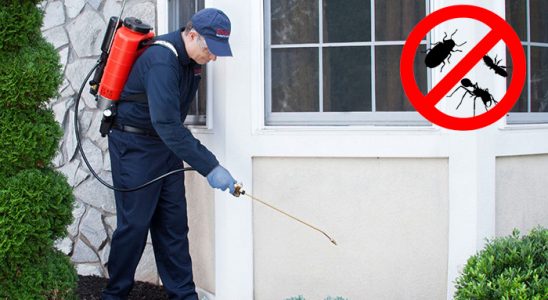 Akşehir Bit İlaçlama böcek ilaçlama ve haşere kontrolü — ilaclama-tr.com